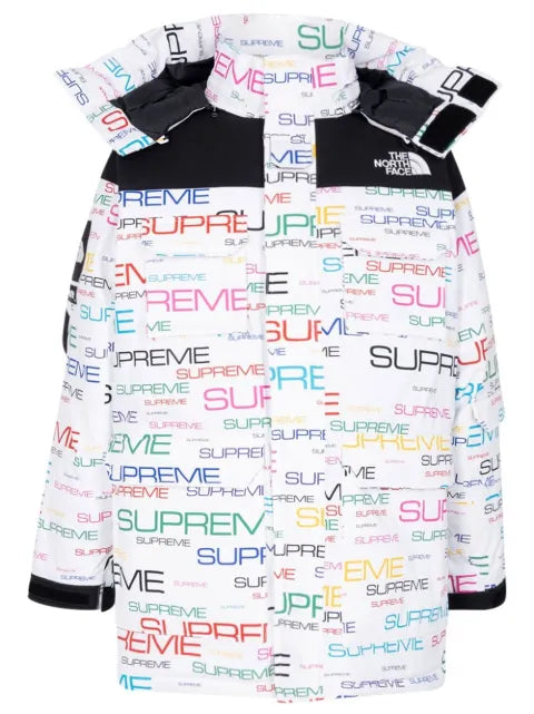 Supreme x TNF Coldworks 700-Fill down parka
